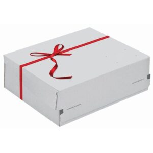 Boîte cadeau d'expédition 24.1x16.6x9.4cm - Lot de 30