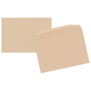 Enveloppe kraft 229x324 90g patte gommee - boîte de 50